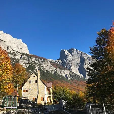 Cold Spring * テス