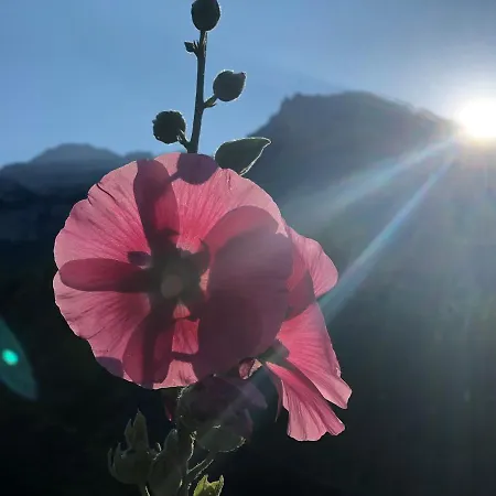 Cold Spring 招待所