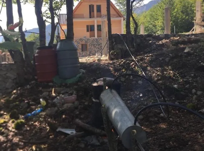 ゲストハウス Cold Spring