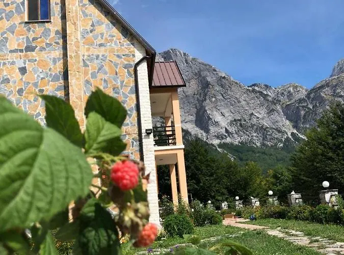 Cold Spring * テス