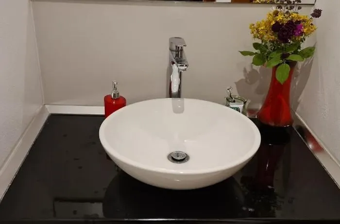 Cold Spring * テス